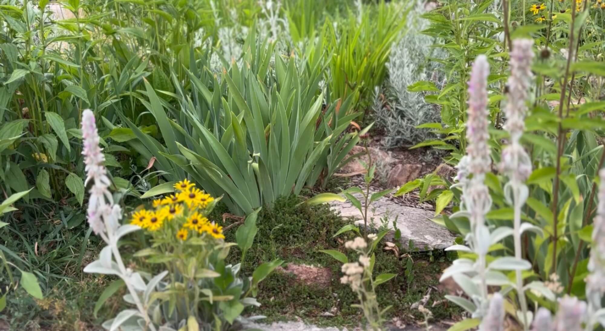 Ecological Planting & Gathering
